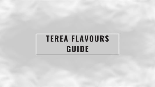 terea_flavours_guide_cover_(singapore_vape)