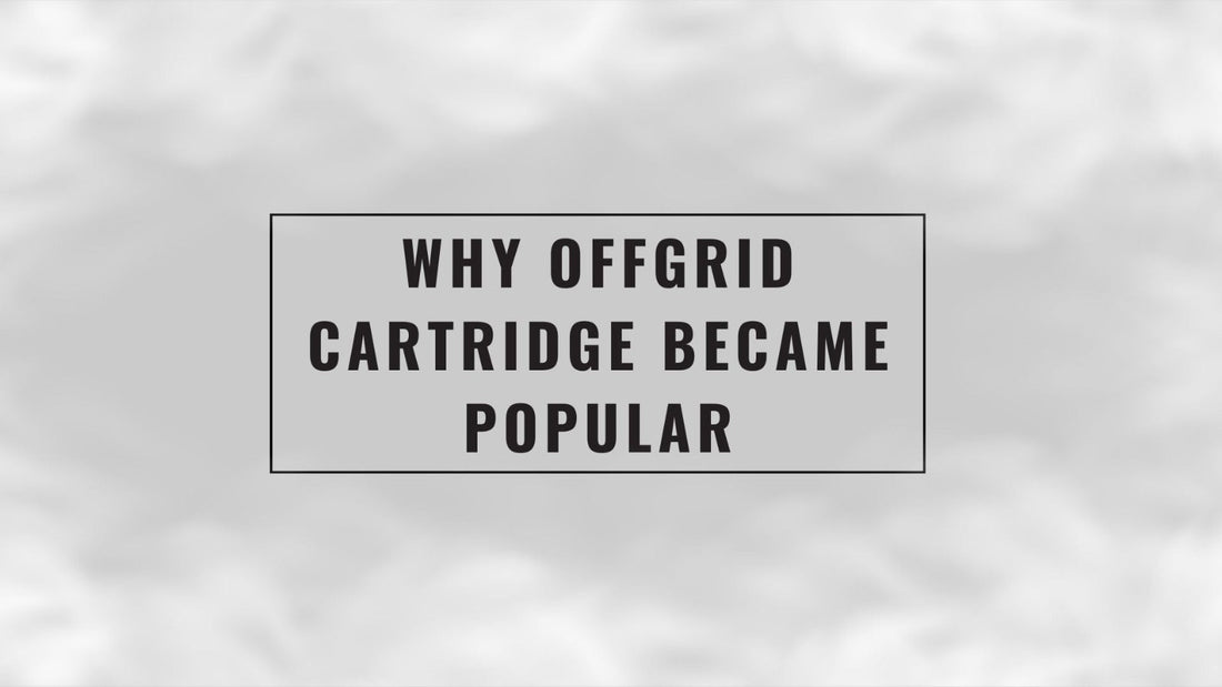 why_offgrid_cartridge_became_popular_cover_(sg vape delivery)