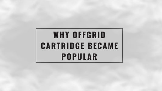 why_offgrid_cartridge_became_popular_cover_(sg vape delivery)